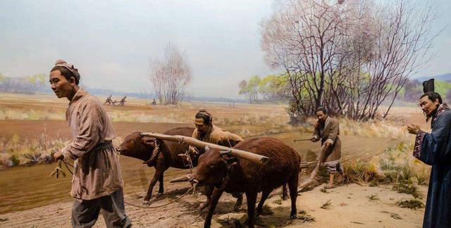 年龄是按虚岁还是以实际年龄算,周岁和虚岁哪个更科学