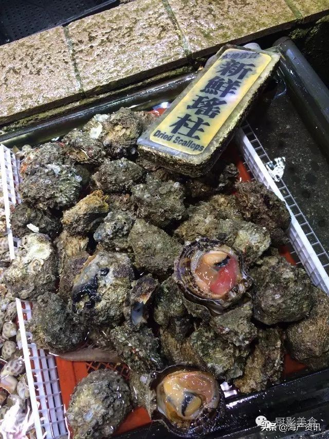 这些诱人的美食你吃过吗,世界上顶级海鲜大全你吃过几种