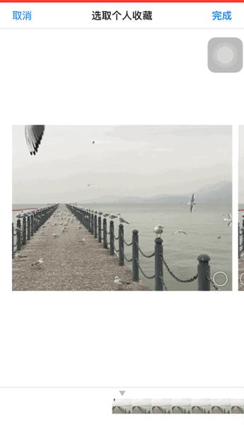 新手iphone必调设置,苹果自带相机拍摄技巧