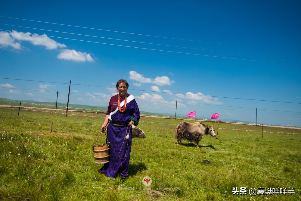 中国名马之乡,也是亚洲第一天然牧场