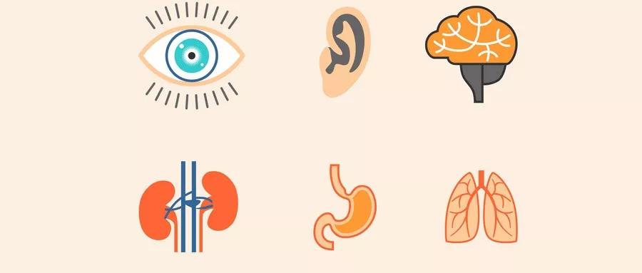 你进来，我给你好好讲一讲卵巢癌预后