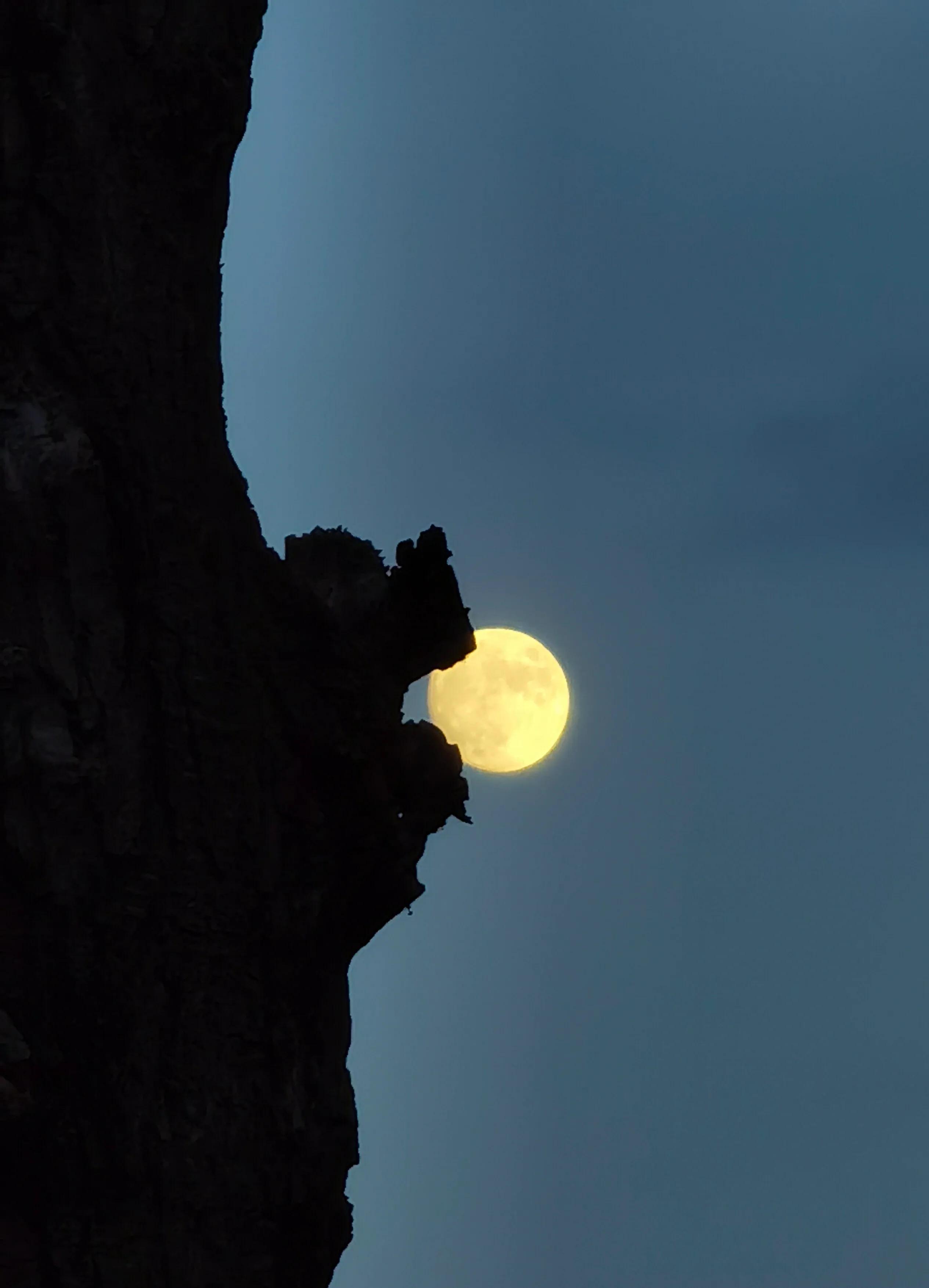 手拍世界作品集402期,2022年世界手机摄影大赛征稿