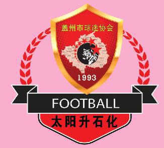 营口足球锦标赛直播,贺岁杯青少年足球比赛