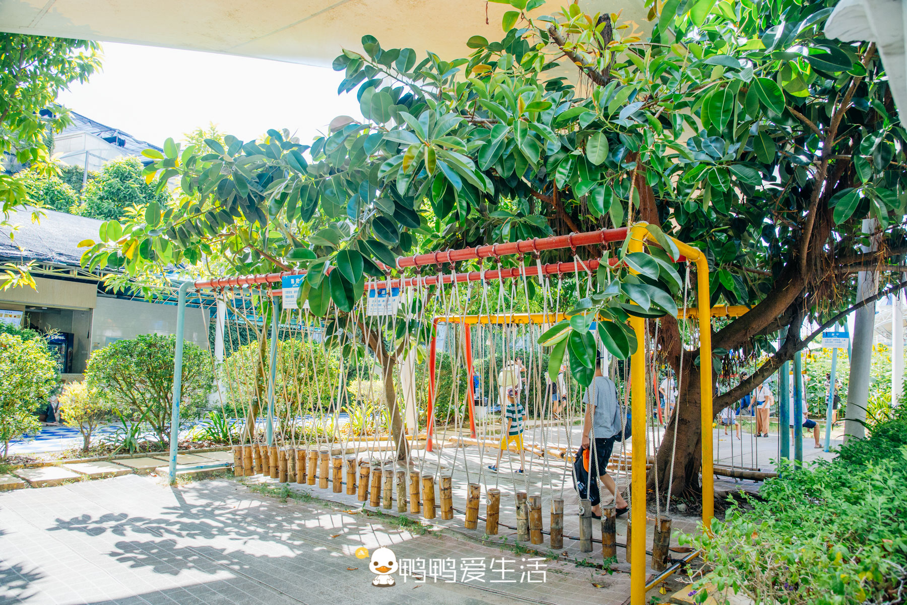 广州最浪漫的旅游胜地,广州最浪漫的旅游景点在哪里啊