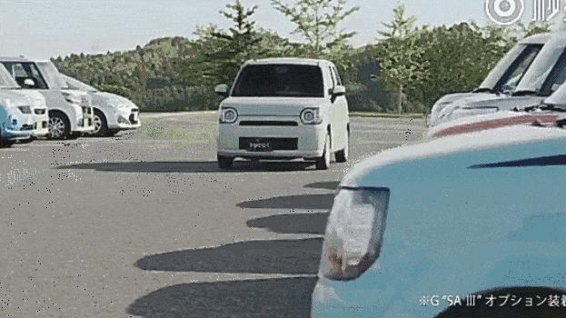 小丸子和花轮最后在一起了吗,花轮小丸子长大后在一起了吗