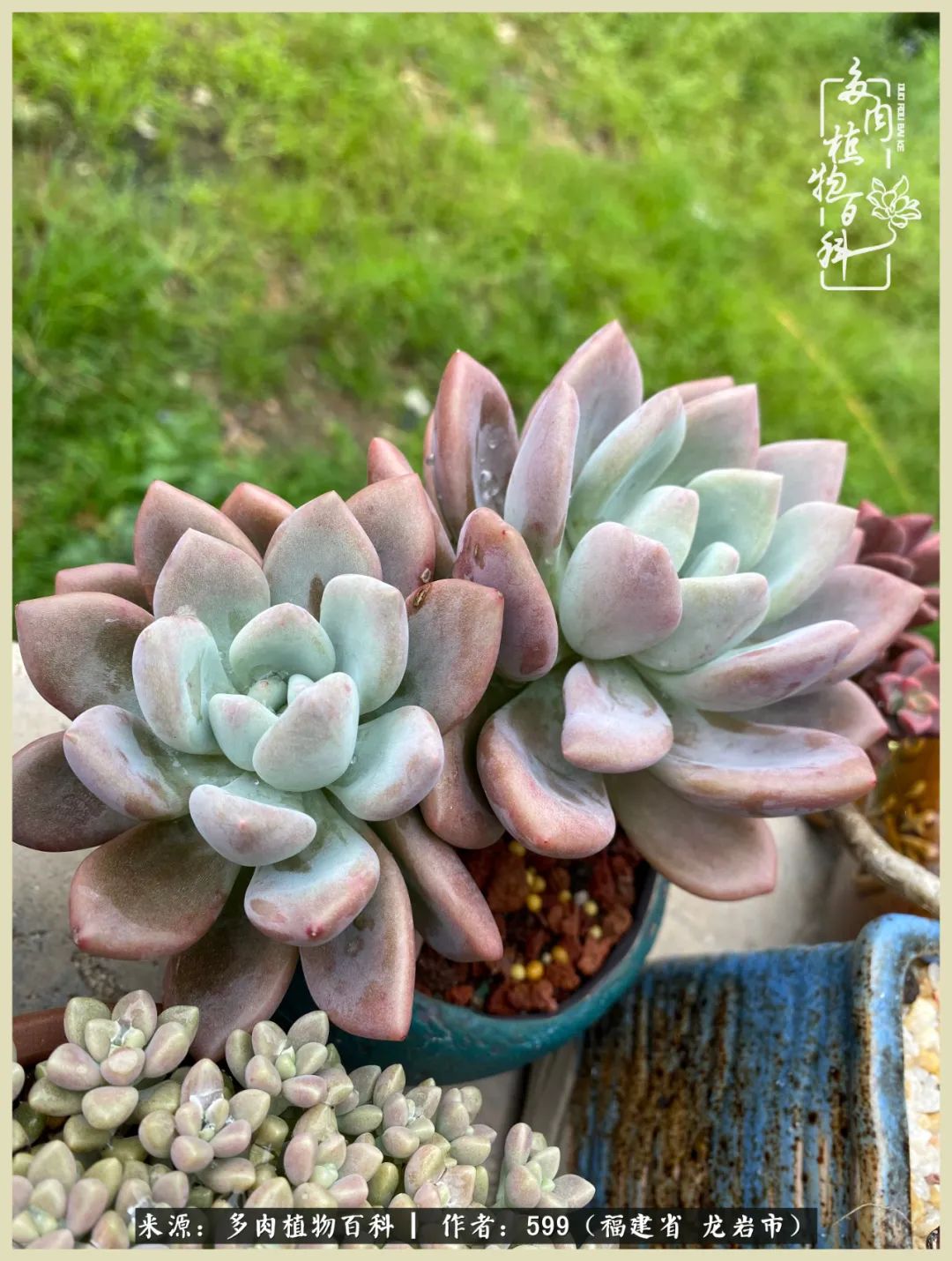 所有的热爱都不遗余力,所有的忙碌都是因为热爱