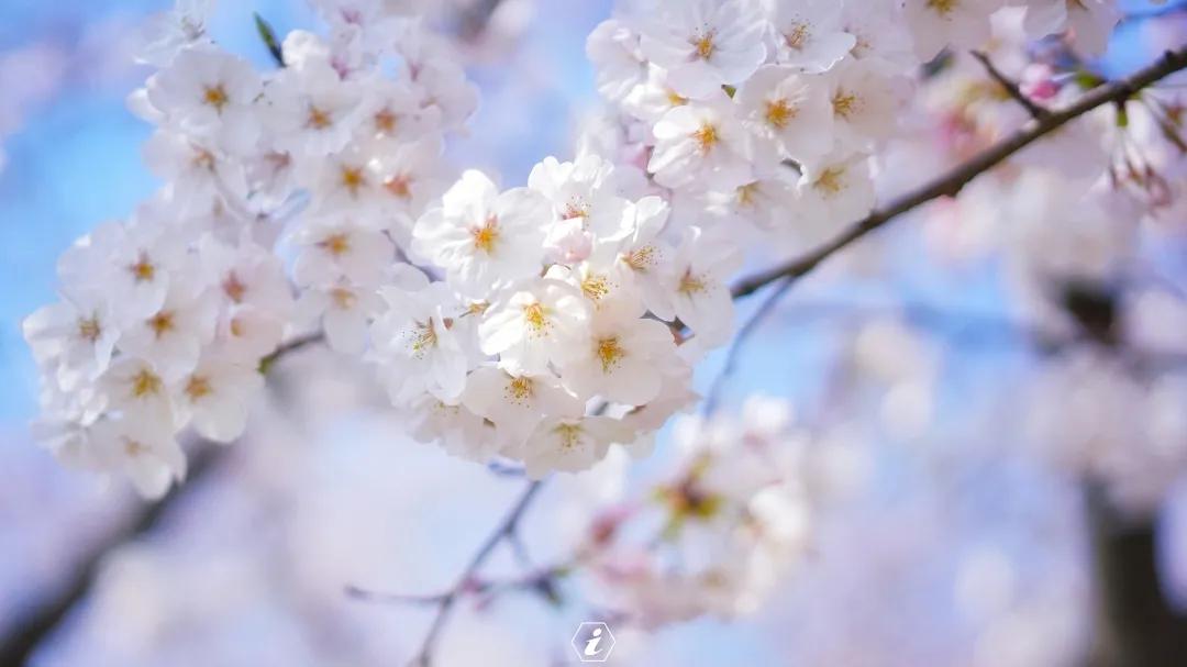 聊城姜堤乐园的门票是多少钱,姜堤乐园玻璃桥