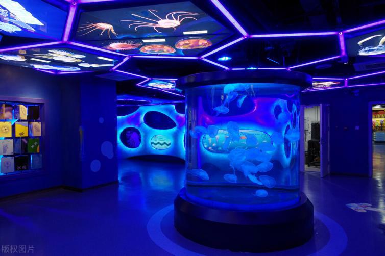 天津极地海洋馆两大一小攻略,天津第一地标
