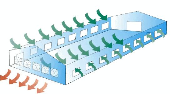 面粉爆炸极限是多少,面粉和火真的能爆炸吗实验视频