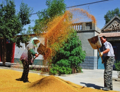 农村院子是混凝土地面，夏天会很热，你可以用这些方法来“降温”