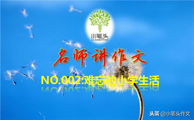 名师讲作文小学作文,难忘的小学生活作文惊艳阅卷老师