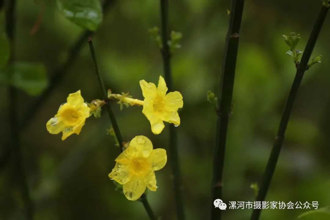 抗击新冠疫情专题展,抗击疫情专题展开展