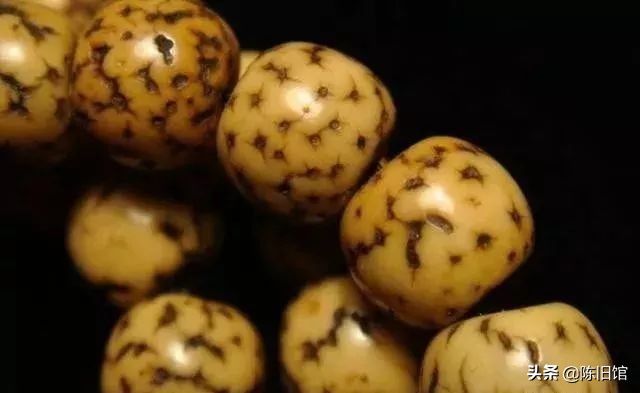 星月菩提如何盘玩成翠绿色,鸡油黄星月菩提盘出来的效果图