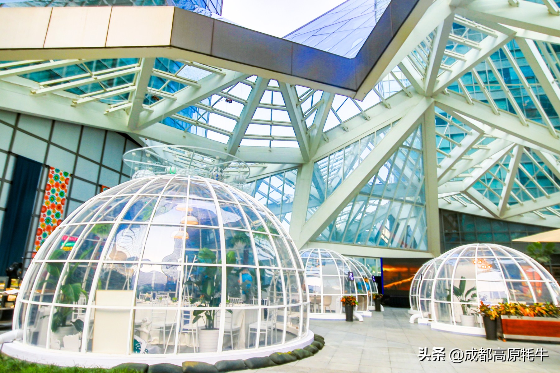 theoasistavern绿洲,theoasis清迈