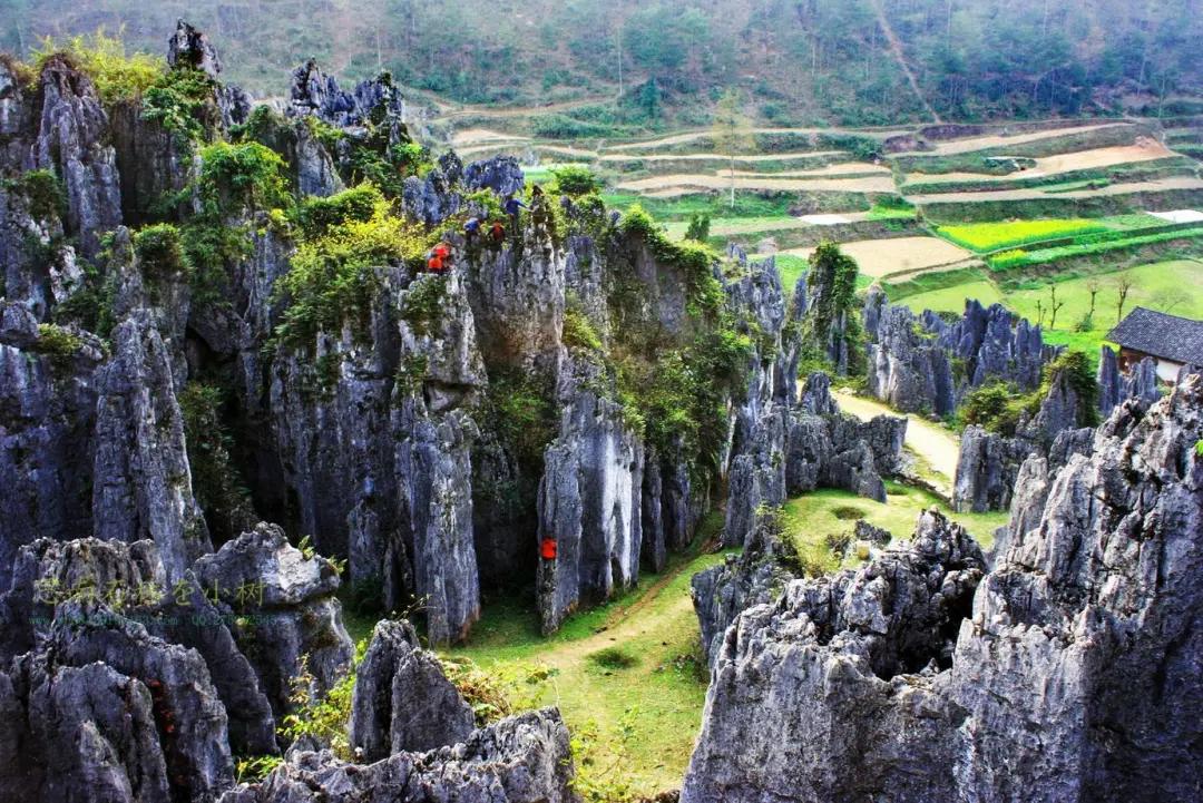 乡游黔中|出发吧！探思南石林奇观，赏幽深人间仙境