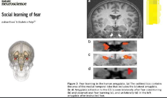 属鼠本命年有科学依据吗,本命年穿红有没有科学依据