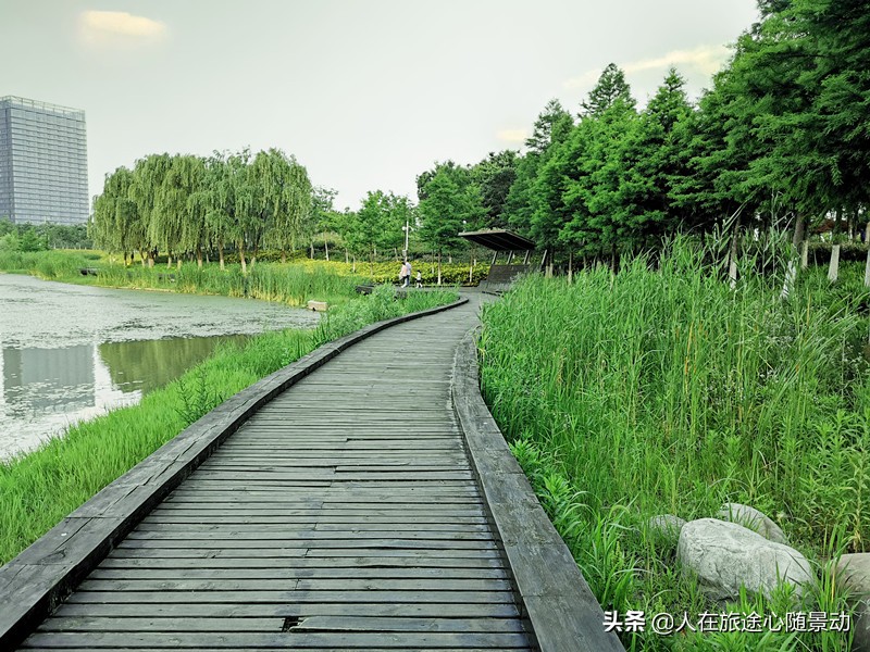 南京面积最大的公园，美不胜收却被游客忽略
