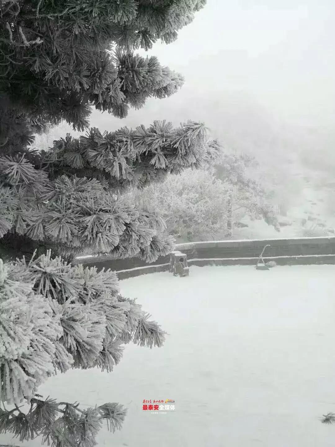 此刻泰山成了雪国，美到无言！高清美图来袭，“雪国的列车”即刻发车！