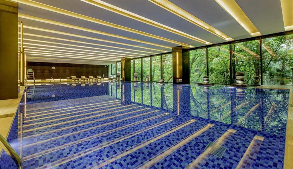 武夷山千禧大酒店金凤凰,武夷山千禧酒店温泉