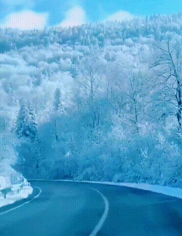 鍫瘮鐟炲+鐨勪腑鍥芥粦闆満,濯茬編鐟炲+