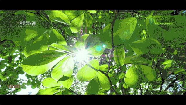 南京珠泉花园到万科翡翠公园,银川万科翡翠公园林溪花园