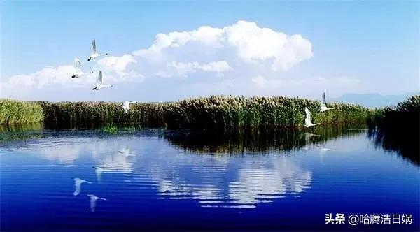 内蒙古十二盟市车牌号首字母含义你知道么？