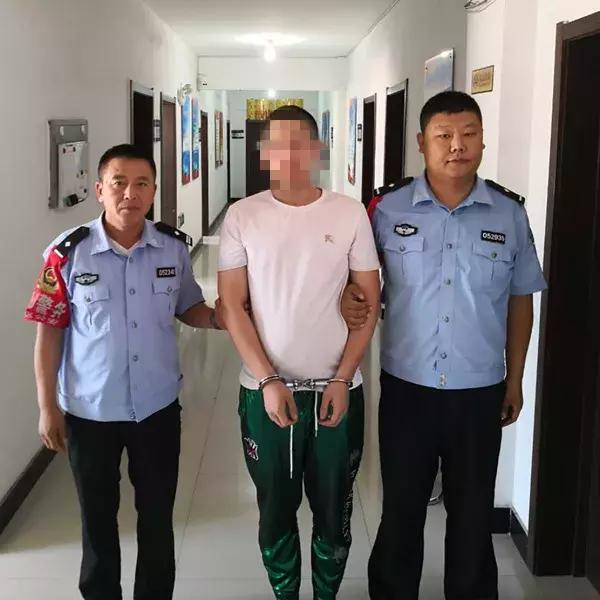 团伙租车拆卸贩卖牟利,团伙租车转卖80万