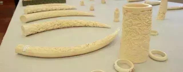 放过大象吧!别再用大象皮车珠子了!