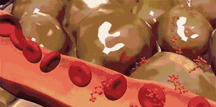 夜光魔力裤,魔力燃烧裤