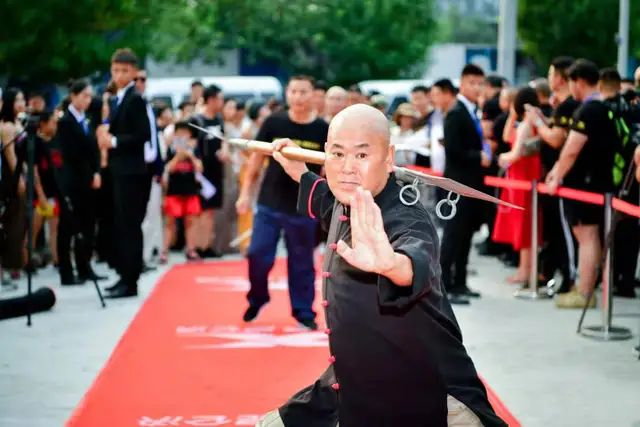 张伟丽对战田野,田野专访完整版