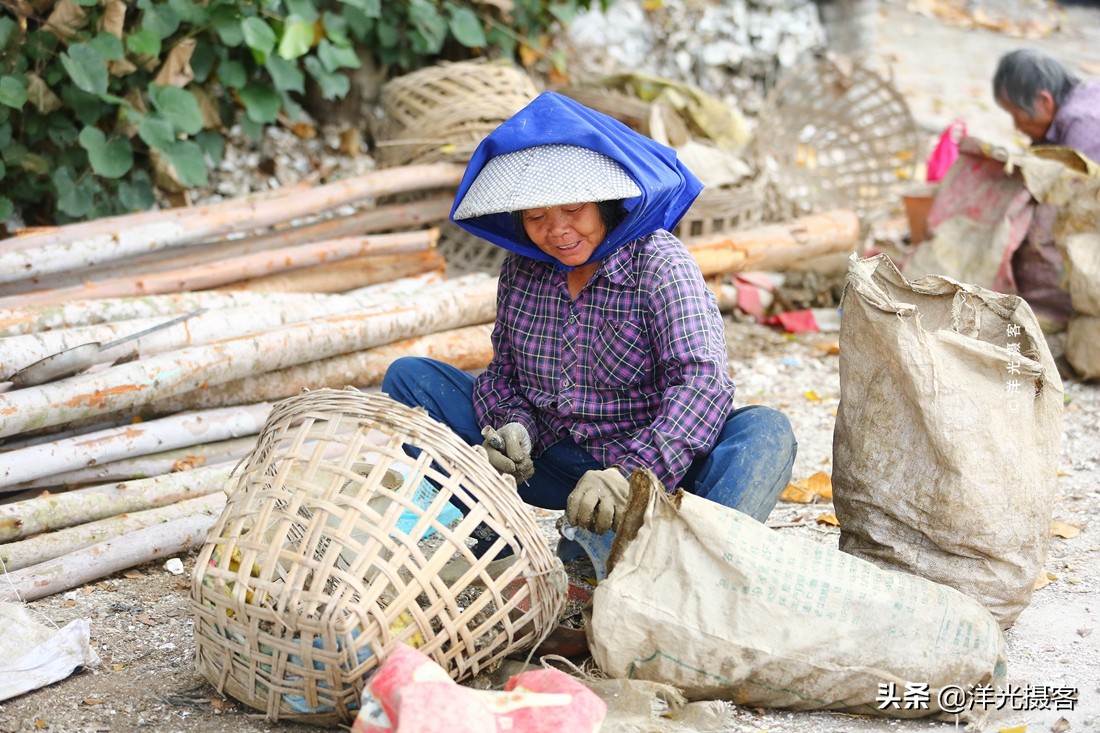 阳西县程村镇蚝排,阳西中国蚝乡在哪里