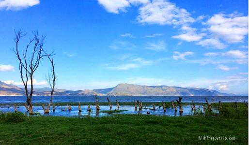 带着你爱的人去洱海旅游,趁光阴正好趁微风不燥趁你还未老