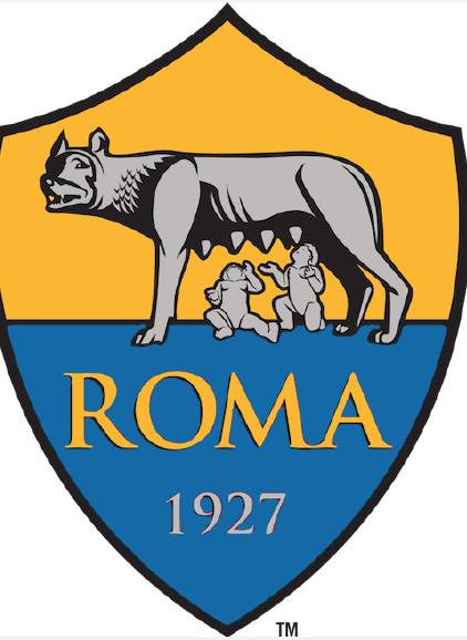 R.I.P女扮男装入场观赛被捕，伊朗女球迷*焚自**抗议去世