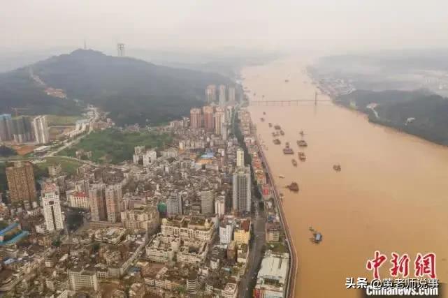 梧州西江洪水,梧州人面对洪水