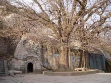 山东省崂山风景区视频,山东省崂山属于哪个市