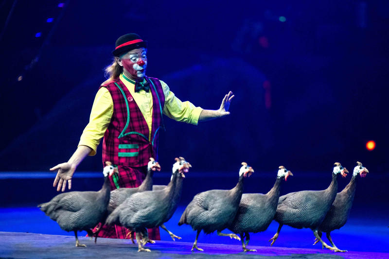 玩转广州长隆野生动物世界之行,广州长隆动物世界游玩攻略图