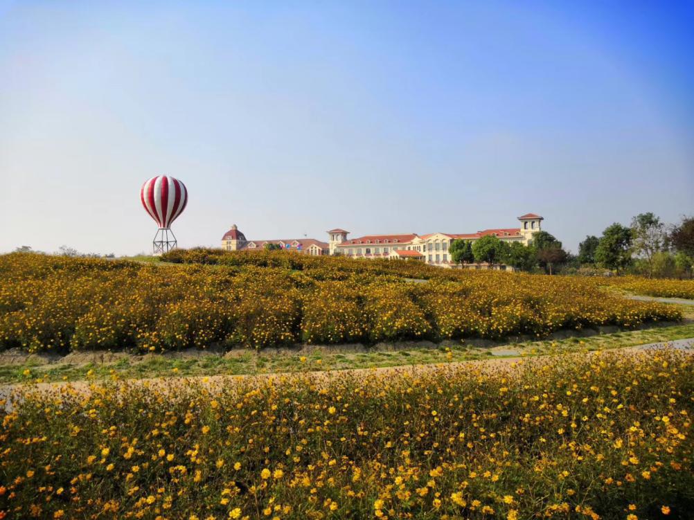 巧克力小镇可以干什么,巧克力小镇能免费体验做巧克力吗