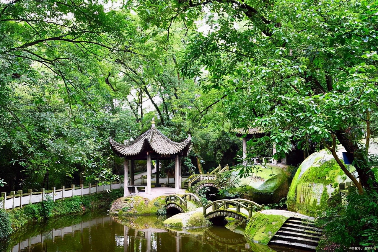 上海十大名校中学,前十名上海中学