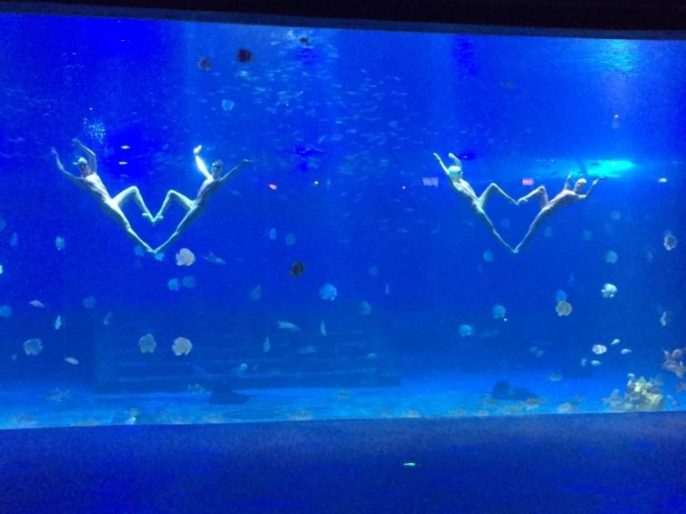 重庆十大景点自驾游攻略,重庆周边冬天自驾游的绝佳去处