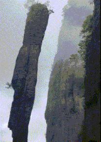 谁这么缺德原版,谁这么缺德原版视频