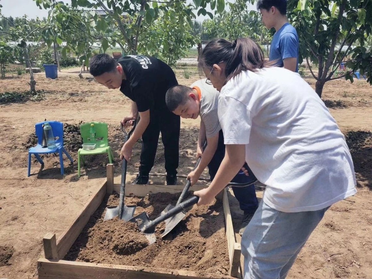 一亩土地怎么能一年赚20万,20亩地的农场该怎样赚钱