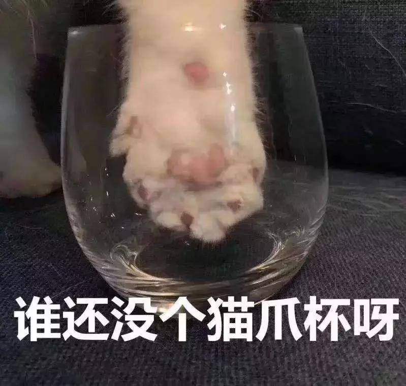 星巴克猫爪杯营销案例分析,星巴克的猫爪杯为什么火