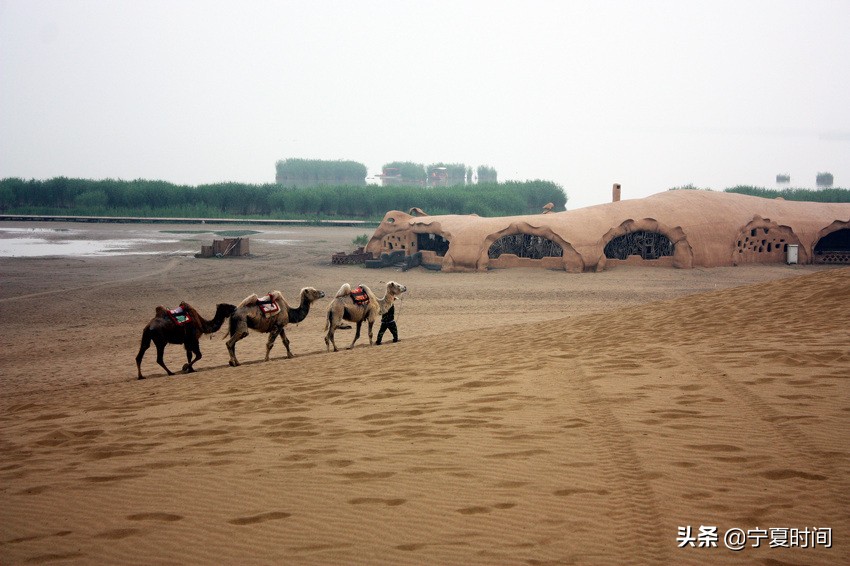鐝嶈吹鍘嗗彶褰卞儚寤跺畨,鍘嗗彶涓婄湡瀹炵殑寤跺畨璁板繂