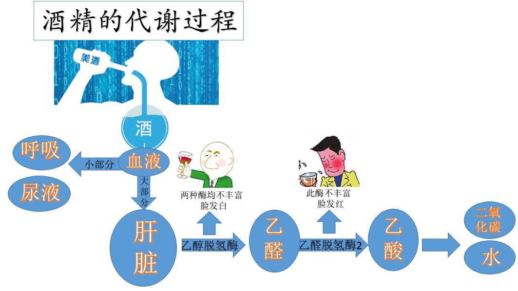 收藏酒的学问,教你一个喝酒技巧