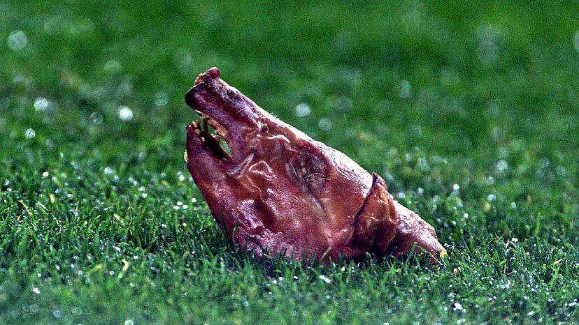 2023-2024西班牙国家德比,西班牙国家德比最火视频