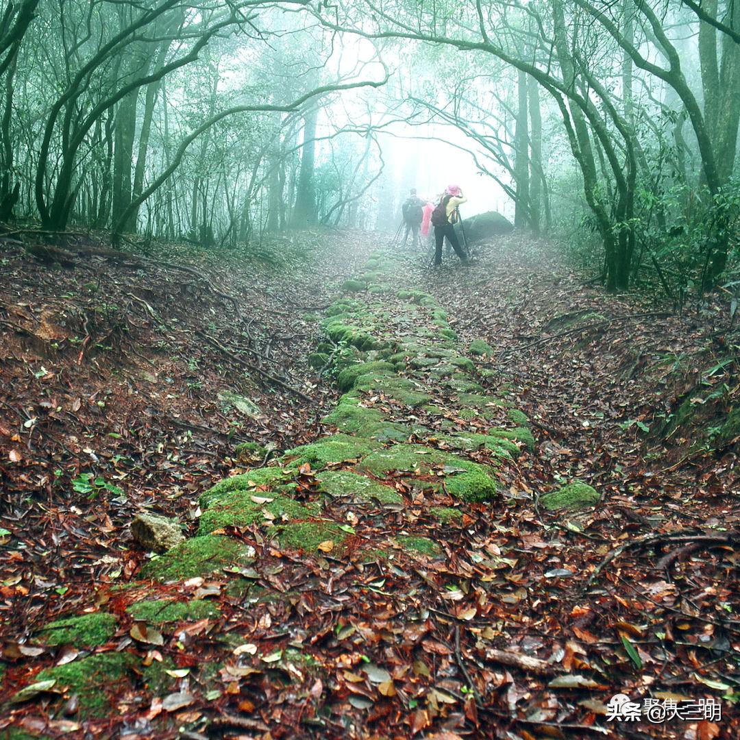 中国最美三明旅游线路,中国绿都泰宁最氧三明
