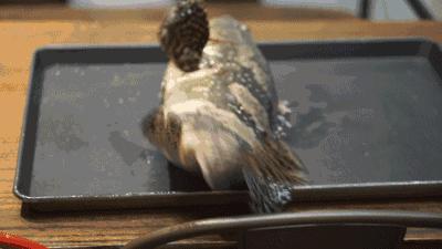 渔家女揭露海鲜市场黑幕,渔家女海鲜视频