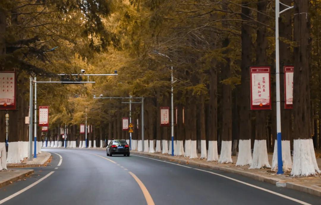 醉美大工秋|读书不觉已秋深，____________