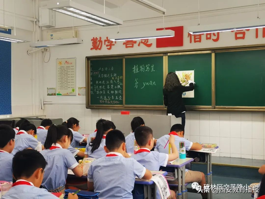 碑林区文艺路小学怎么样,碑林区教研