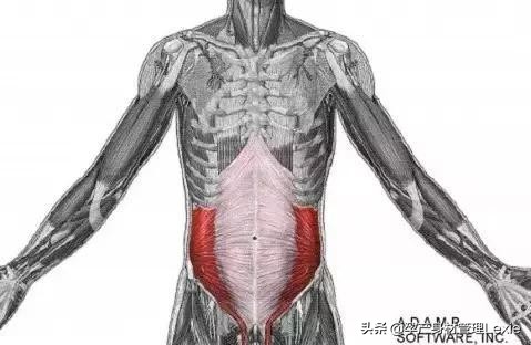 产后妈妈肚子下不去,产后妈妈瘦不下来怎么回事